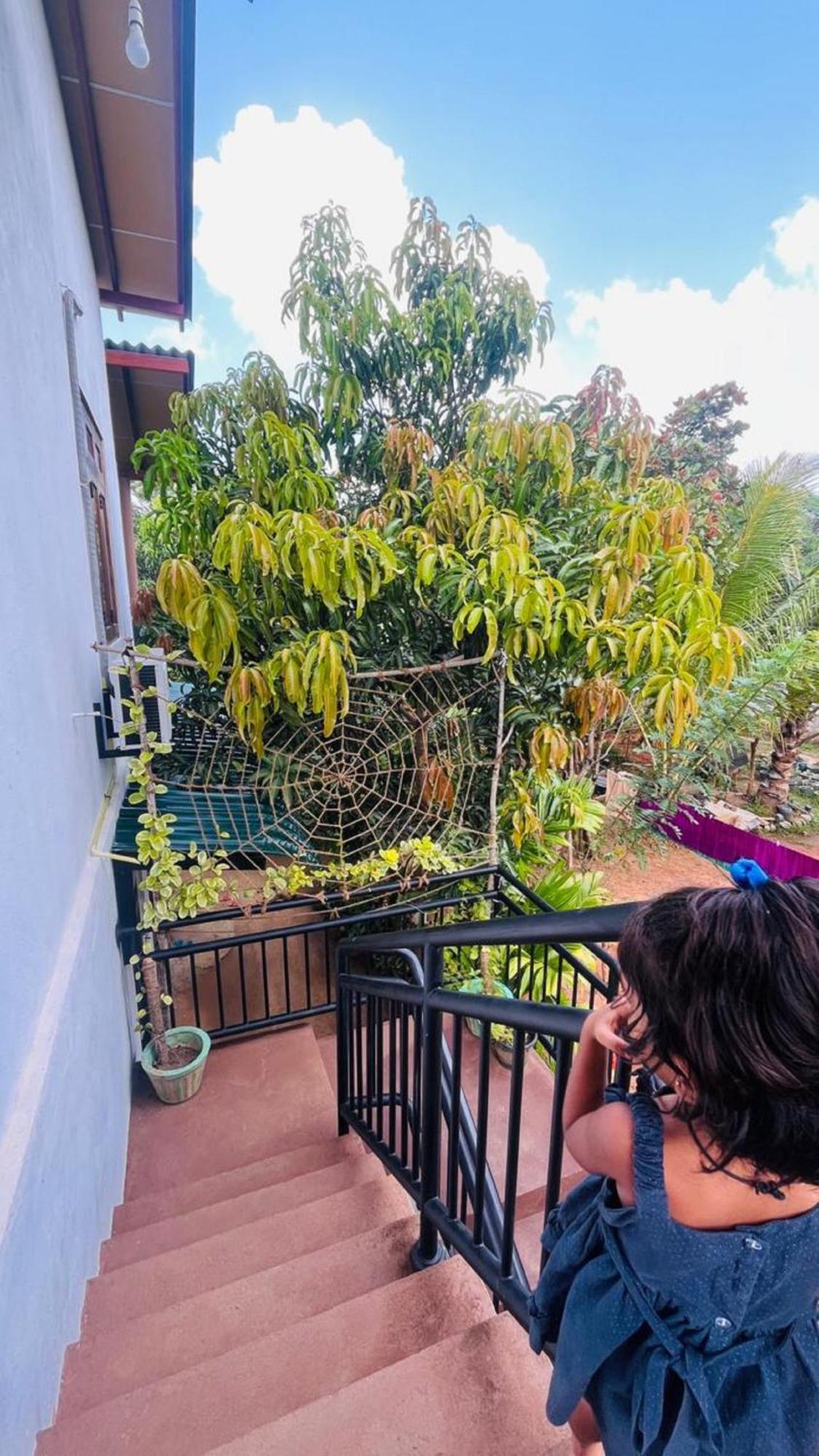 Dew Ashi Homestay Sigiriya Esterno foto