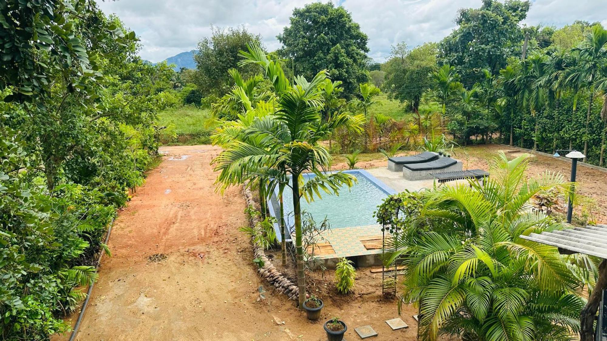 Dew Ashi Homestay Sigiriya Esterno foto