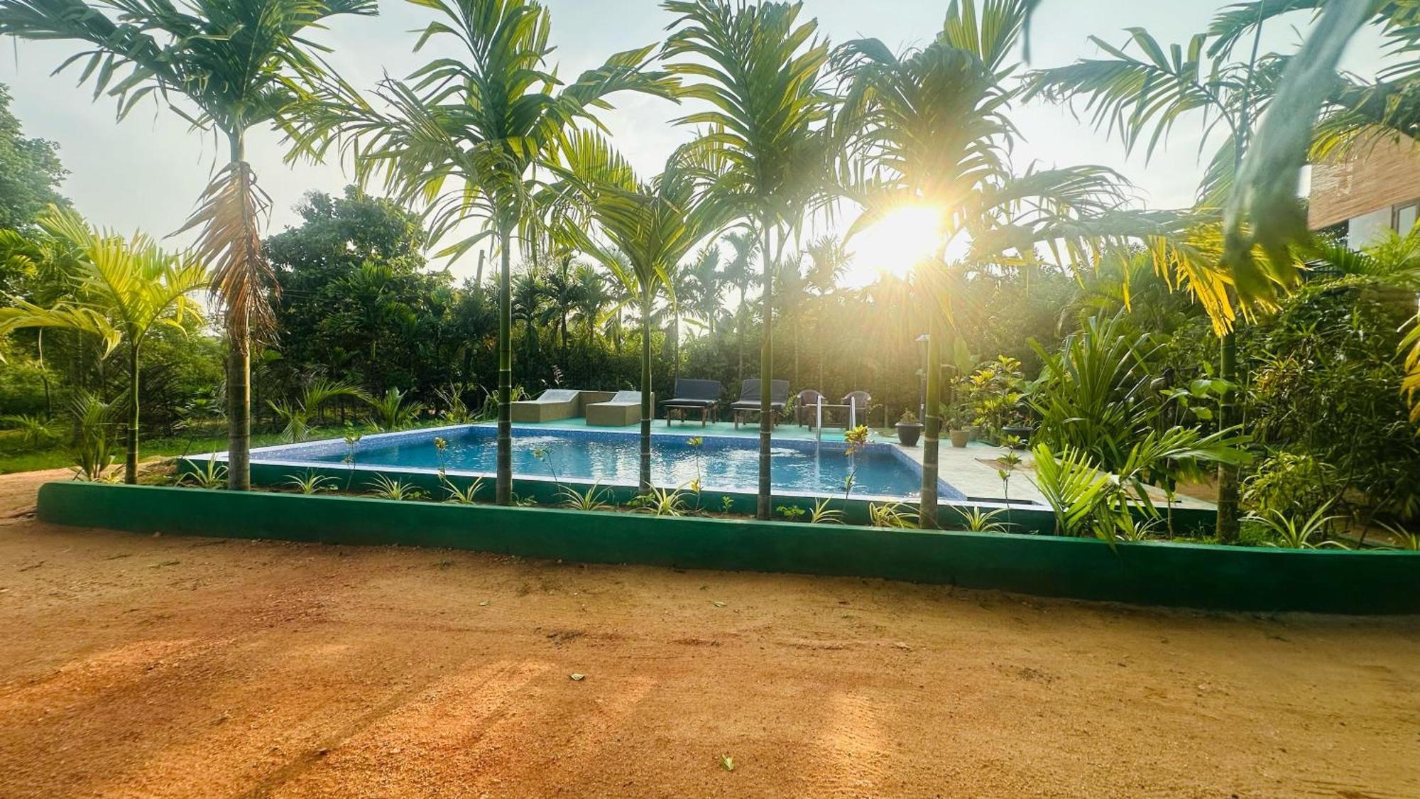 Dew Ashi Homestay Sigiriya Esterno foto