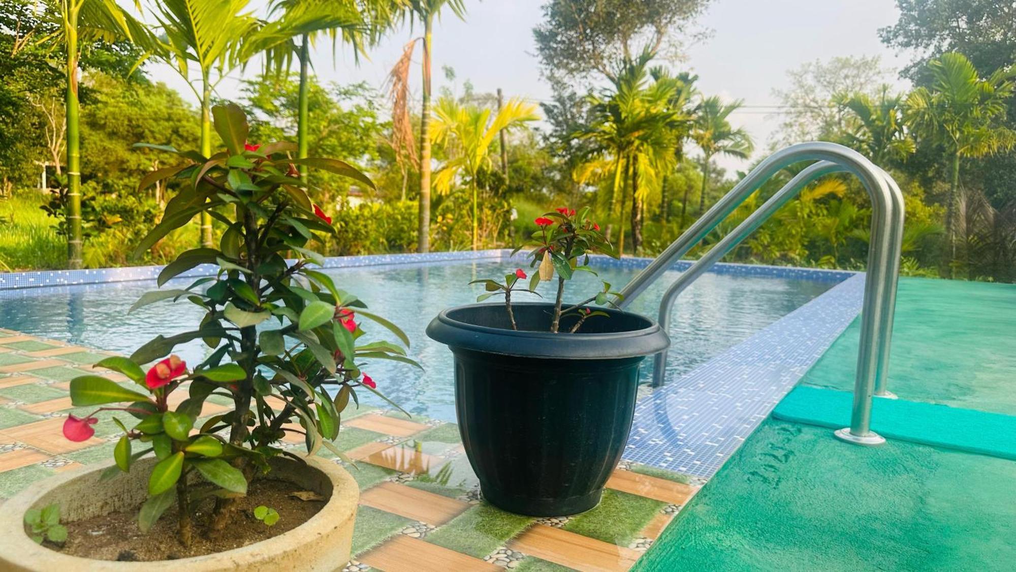 Dew Ashi Homestay Sigiriya Esterno foto