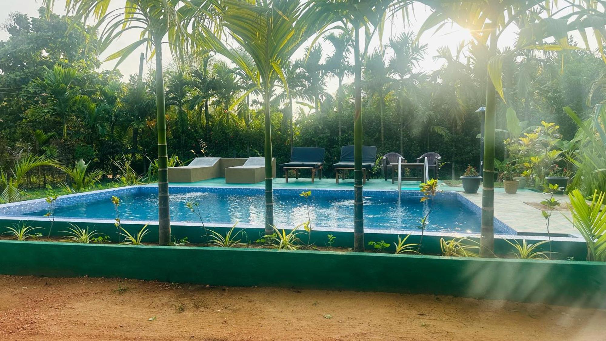 Dew Ashi Homestay Sigiriya Esterno foto