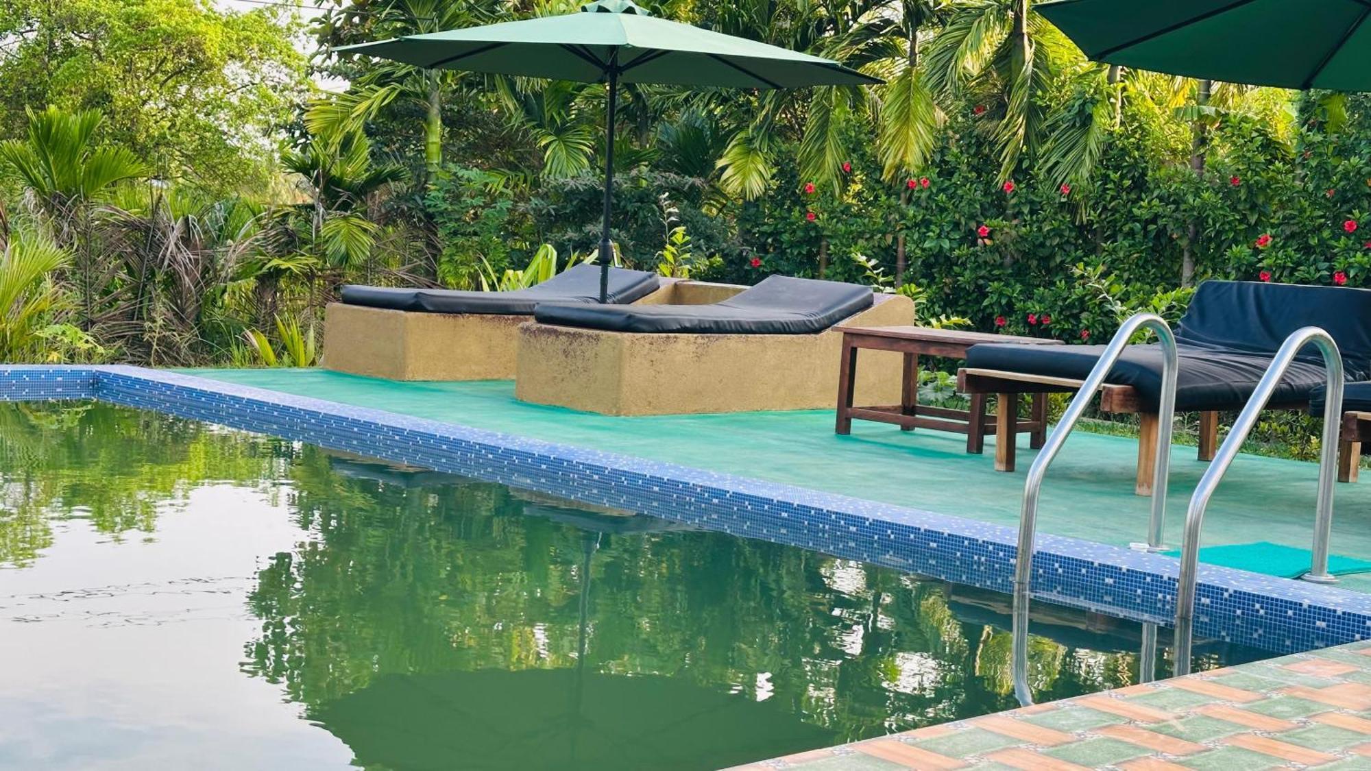 Dew Ashi Homestay Sigiriya Esterno foto